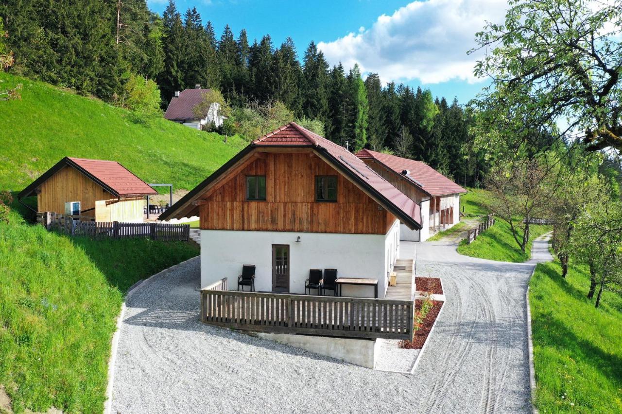 סלובן גראדץ Villa Richterberg With Sauna & Hot Tub מראה חיצוני תמונה